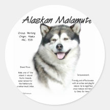 Ontwerp het van Alaska van de Geschiedenis Malamut Sticker