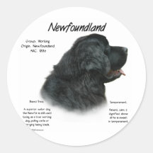 Ontwerp van de Geschiedenis van Newfoundland (het  Ronde Stickers