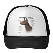 Ontwerp van de Geschiedenis van Pinscher van Dober Petten Met Netje