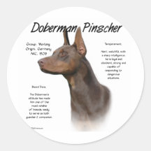 Ontwerp van de Geschiedenis van Pinscher van Dober Sticker