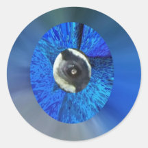 Oog van de Pauw Stickers
