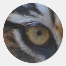 Oog van de tijger stickers