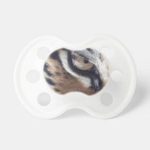 Oog van een Tijger