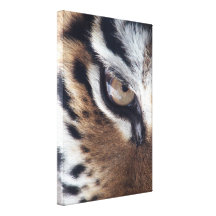 Oog van een Tijger Gallerij Wrapped Canvas