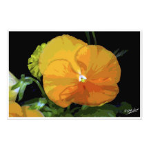 Orange Art Photographique