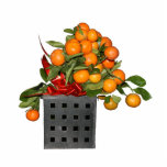 Oranges Photo Sculptures