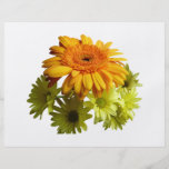 Oranje Daisy met Gele Mums Folder Ontwerp