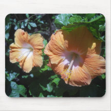 Oranje Hibiscus Muis Mat