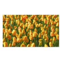 Oranje Tulpen Visitekaartjes