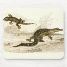 Orbigny - alligator et Gecko Tapis De Souris