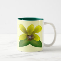Orchidée de Dendrobium Tasses À Café