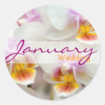 Orchidee • De Sticker van het Huwelijk van januari