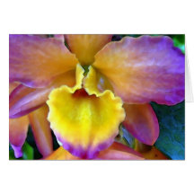 Orchidée de Tropicana Cartes De Vœux