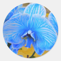 Orchidée mystique bleue adhésif rond