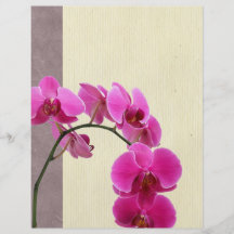 Orchidée pourpre prospectus en couleur