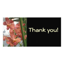 Orchideeën Foto Wenskaarten