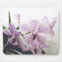 Orchideeën Muismatten