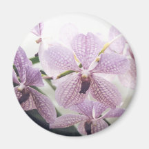 Orchidées Aimants