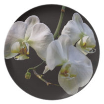 Orchidées blanches élégantes sur le noir assiettes