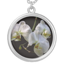 Orchidées blanches élégantes sur le noir colliers