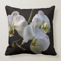 Orchidées blanches élégantes sur le noir oreillers american
