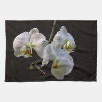 Orchidées blanches élégantes sur le noir linges de cuisine