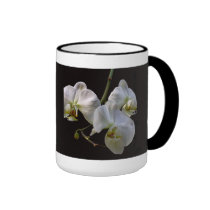 Orchidées blanches élégantes sur le noir tasses
