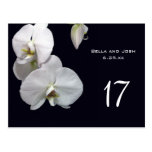 Orchidées blanches épousant la carte Postca de Tab Carte Postale