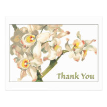 Orchidées de blanc de Merci Cartes Postales