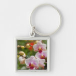 orchidées porte-clefs