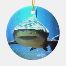 Ornement de natation de requin