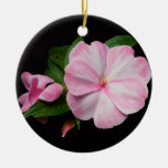 Ornements roses de Noël blanc d'Impatiens