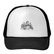 Otarie de Steller Casquette De Camionneur