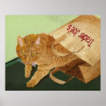 Otis le chat posters