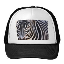 Où est le zèbre ? casquette de camionneur