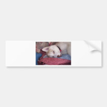 Oude Blauwe Ogen Bumpersticker