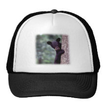 Ours CUB noir Casquettes De Camionneur