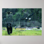 Ours, Eagles, hérons, Ravens, art de faune de loup Poster