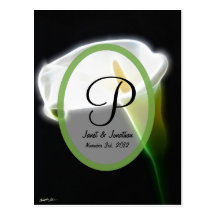 Ovale blanc vert de Transp W Cartes Postales