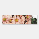 Oxalis, houten-zuringsBloemen Bumperstickers