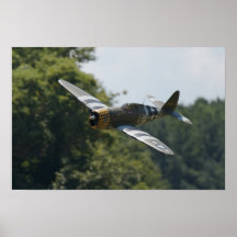 P-47 "cruche" hurle par chez Warbirds au-dessus du Poster