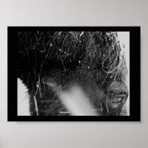 Paard in Sneeuw Print