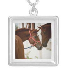 paard hangertjes