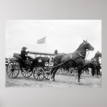 Paard & Met fouten: 1919 Print