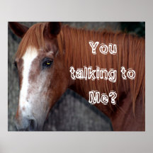 Paard, u die spreken aan me? plaat