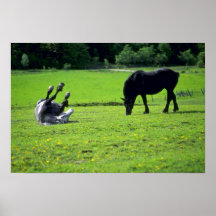 Paarden Afdruk