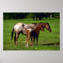 Paarden Print