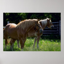 Paarden Print
