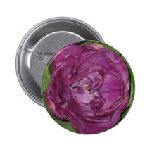 Paars flower.jpg button