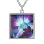 Paarse & Blauwe Orchidee Aangepaste Orchideeën Den Sieraden